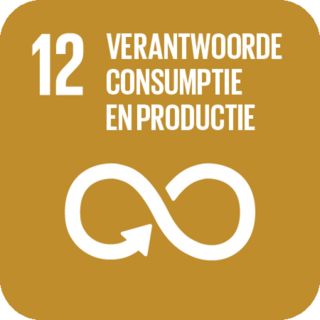Verantwoorde consumptie en productie